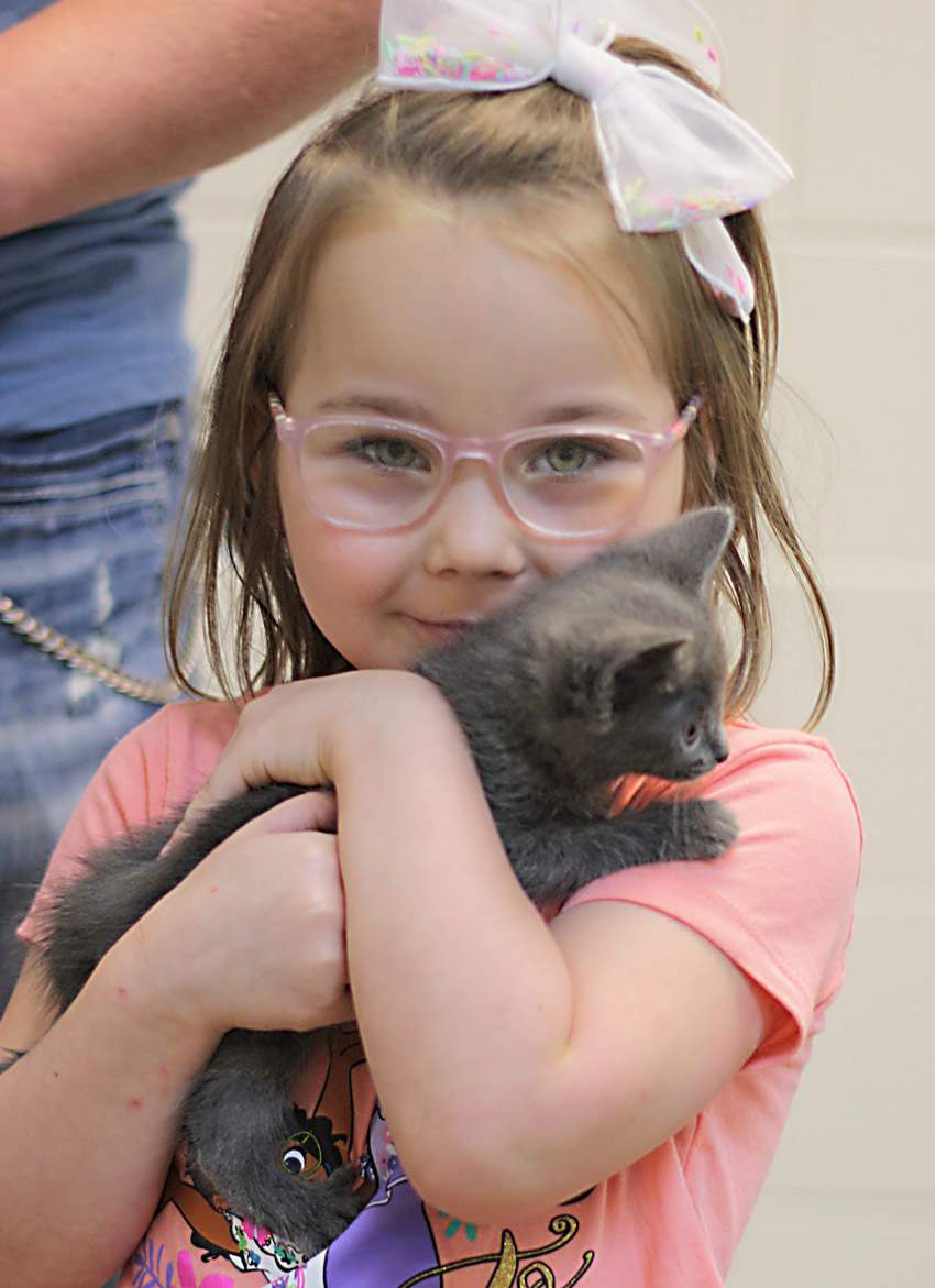 Scarlett Rose of Remlap chose a Russian Blue kitten from the Animal Adoption Center of Blount County. Her family also adopted an adult cat during the shelter’s special offer. Photo by Kristin Yarbrough.
