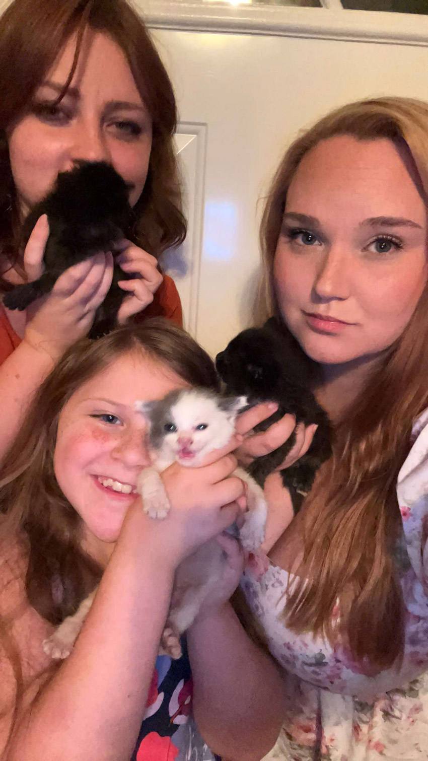 Samantha Butler and family with foster kittens. Clockwise from right: Sam with Artemis, daughter Hazel with Luna, and niece Sky with Bagheera. Photo courtesy of Samantha Butler.